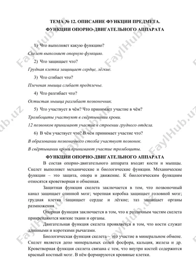 функции опорно-двигательного аппарата — DOCX