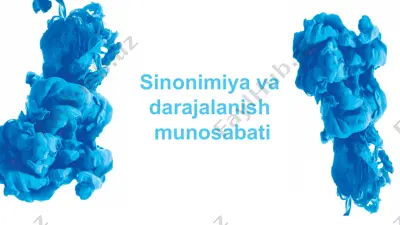 sinonimiya va darajalanish munosabati — PPTX