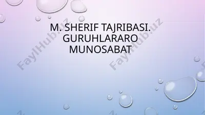 musoqulova tasir — PPTX