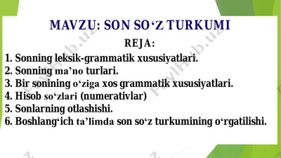 son so‘z turkumi — PDF