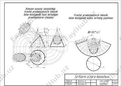 sirtlarni o'zaro kesishuvi — PDF