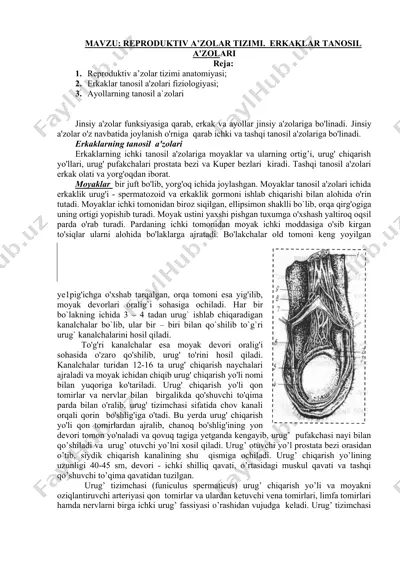 reproduktiv a'zolar tizimi. erkaklar tanosil a'zolari — DOCX
