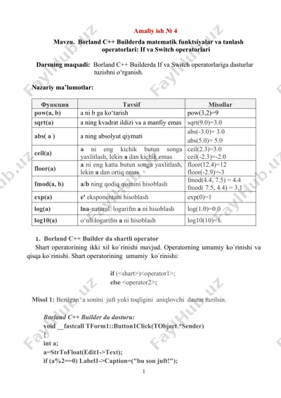 borland c += builderda matematik funksiyalar va tanlash operatori — DOCX