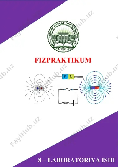 fizpraktikum — DOCX