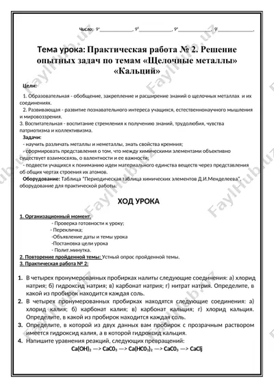 практическая работа №2 "щелочные металлы" "кальций" — DOCX