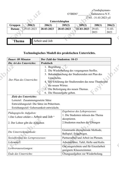 technologisches modell des praktischen unterrichts — DOCX
