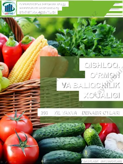 qishloq, o‘rmon va baliqchilik xo‘jaligi — DOCX