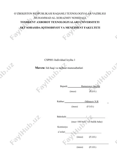 mavzu: ish haqi va mehnat munosabatlari — DOCX