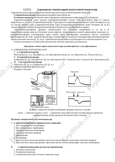 адренергик синапсларни қамалловчи воситалар — DOCX