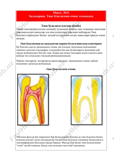 tish buchliqni ochish texnikasi — DOCX