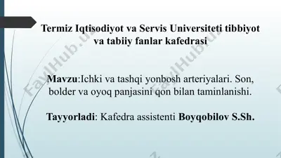 ichki va tashqi yonbosh arteriyalari. son, bolder va oyoq panjasini qon bilan taminlanishi — PPTX