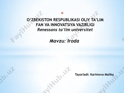 iroda — PPTX