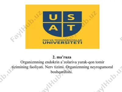 organizmning endokrin a’zolariva yurak-qon tomir tizimining faoliyati. nerv tizimi. organizmning neyrogumoral boshqarilishi. — PPT