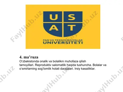 o’zbekistonda onalik va bolalikni muhofaza qilish tamoyillari — PPT