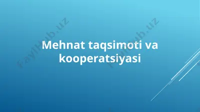 mehnat taqsimoti va kooperatsiyasi — PPTX