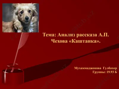 анализ рассказа а.п. чехова каштанка. — PPT