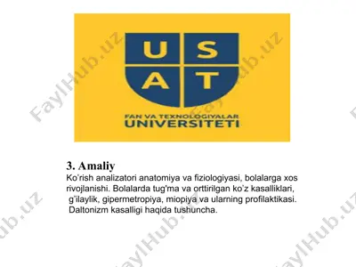 amaliy ko’rish analizatori anatomiya va fiziologiyasi, bolalarga xos rivojlanishi — PPT