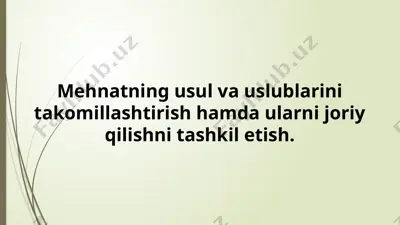 mehnat usul va uslublari — PPTX
