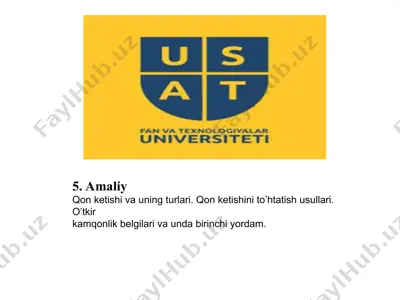 amaliy qon ketishi va uning turlari — PPT