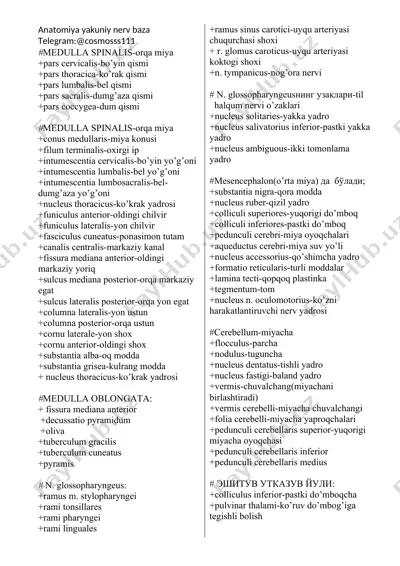 anatomiya yakuniy nerv baza — DOCX