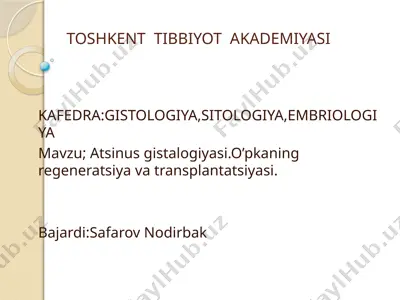 atsinus gistologiyasi — PPTX