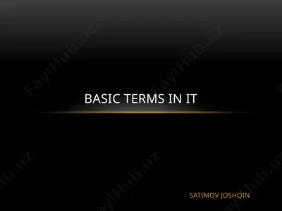 basic terms in it — PPTX