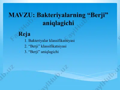 berji bakteriyalar aniqlagichi — PPTX