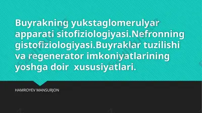 buyrakning yukstaglomerulyar apparati sitofiziologiyasi — PPTX