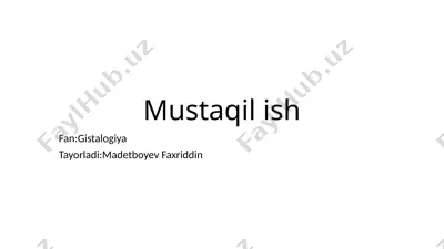 oshqozon va uning yangilanishi — PPTX