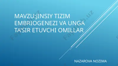 jinsiy tizim embriogenezi va unga ta’sir etuvchi omillar — PPTX