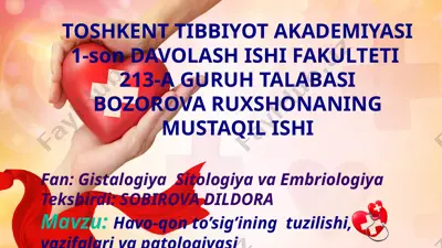 havo-qon to’sig’ining tuzilishi, vazifalari va patologiyasi — PPTX