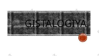 gistalogiya — PPTX