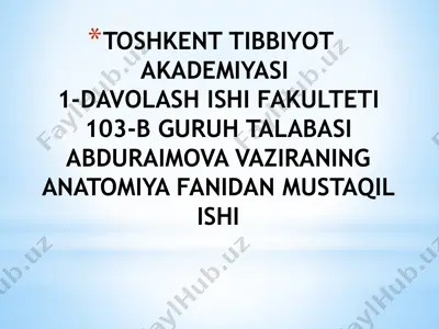 ponasimon suyak — PPTX