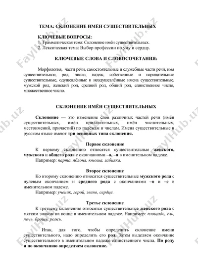 склонение имён существительных — DOCX
