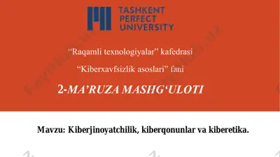 kiberjinoyatchilik — PDF