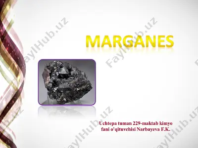 marganes — PPT