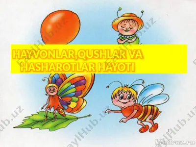 hayvonlar,qushlar va hasharotlar hayoti — PPTX