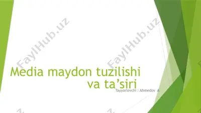 media maydon tuzilishi va ta’siri — PPTX