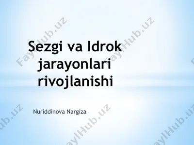 sezgi va idrok jarayonlari rivojlanishi — PPTX