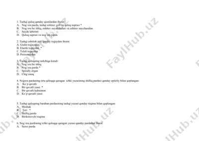 tashqi quloqning anatomiya va fiziologiyasi — DOCX