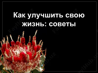 как улучшить свою жизнь: советы — PPT