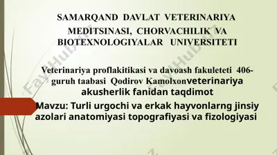 erkak hayvonlarng jinsiy tizimi anatomiyasi va fizologiyasi — PPTX
