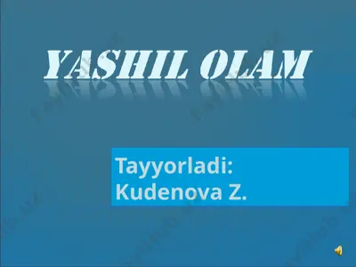 daraxtlar va o'rmonlar — PPT