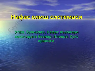 нафас олиш системаси — PPT