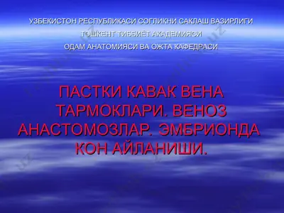 pashtki kavak venalar va venoz anastomozlar. venoz anastomozlar. embriyonda kon aylanishi. — PPT