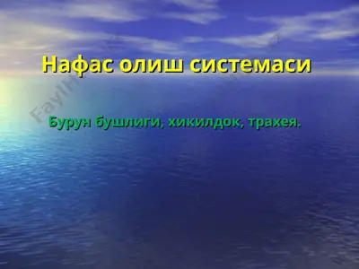 нафас олиш системаси — PPT
