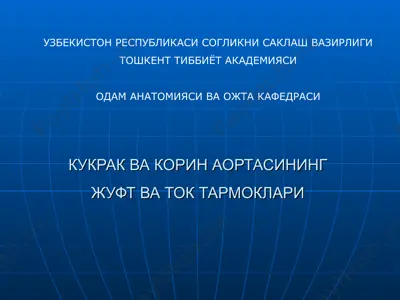 кукрак ва корин аортасининг жуфт ва ток тармоклари — PPT