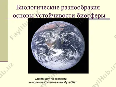 биологические разнообразия основы устойчивости биосферы — PPT