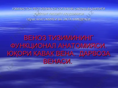 venoz tizimining funksional anatomiyasi. yuqori kavak vena. darvoza venasi. — PPT
