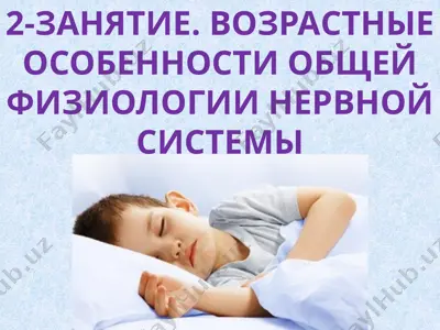 возрастные особенности общей физиологии нервной системы — PPTX